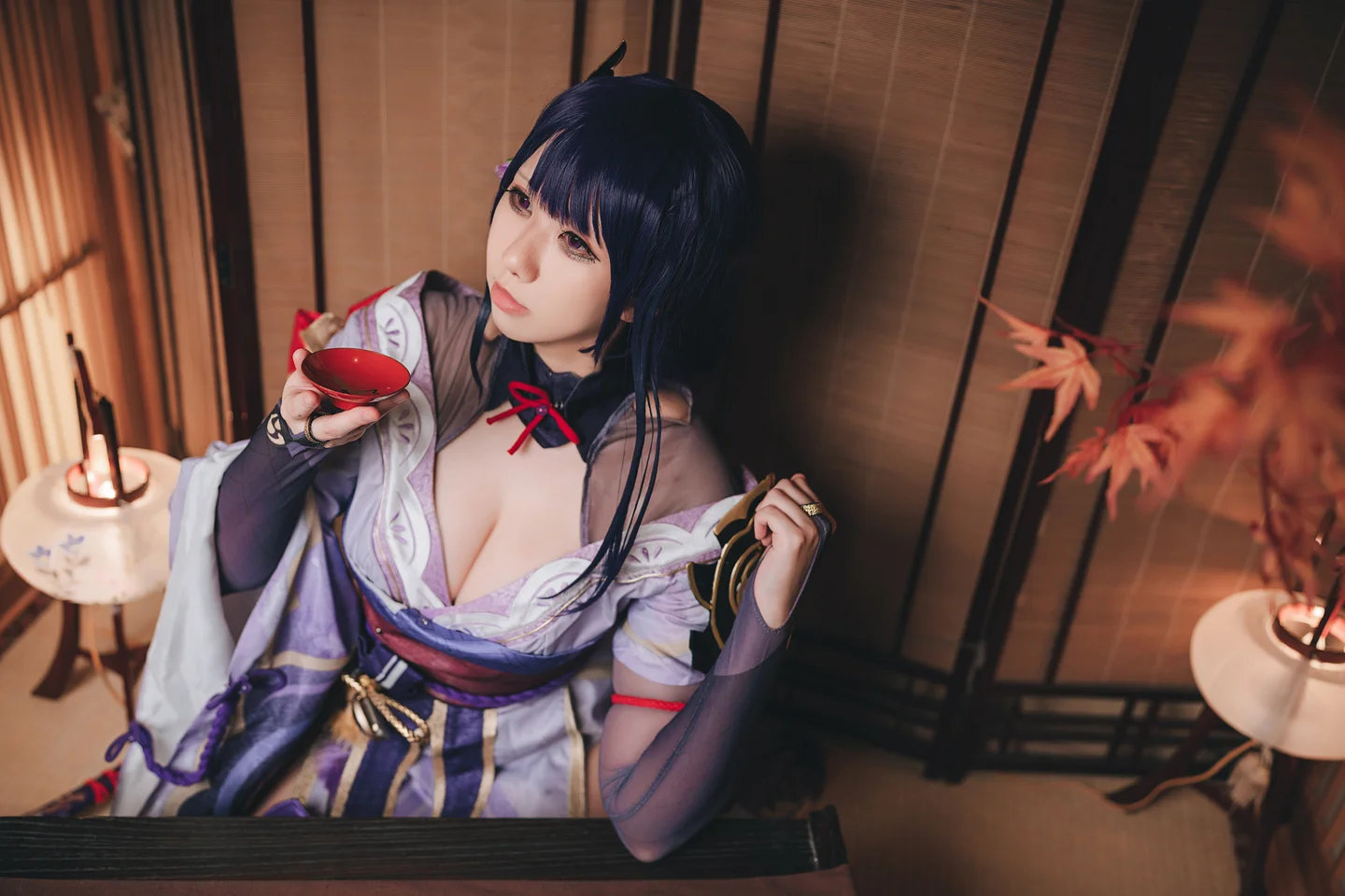 小空sora - No.011 原神·雷电将军 [17P-65MB]